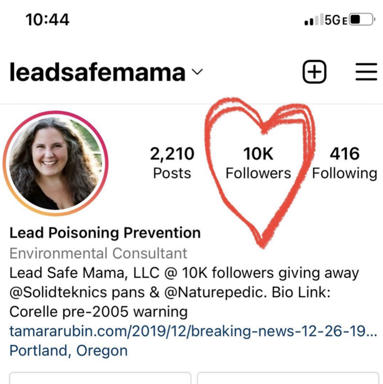 Today (Sunday, 3/20/2022) @LeadSafeMama passed 10,000 followers on Instagram! Thank you!