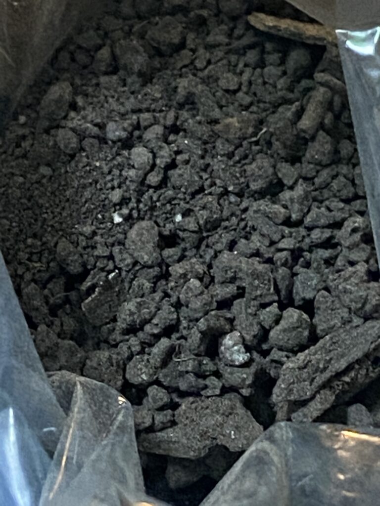 TQ’s soil from Bozeman, Montana (samples collected May 24, 2022).