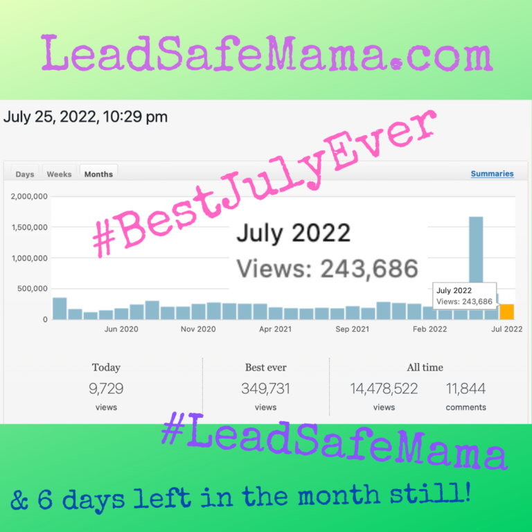 July of 2022 is officially the #BestJulyEver here at LeadSafeMama.com (& there are still six days left in the month!)