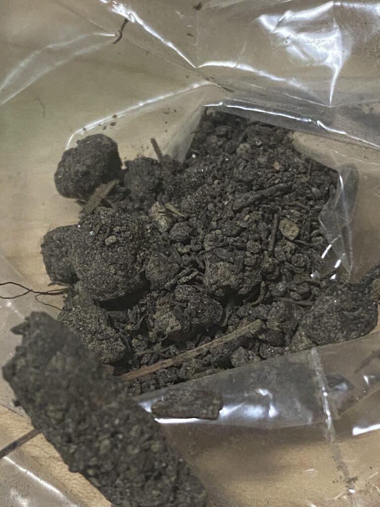 Soil sample from Chesterfield, Missouri: 22 ppm Lead (safe by all standards)