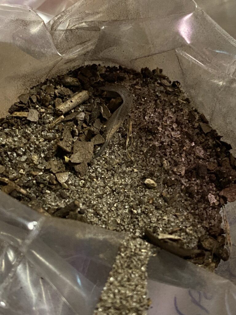 Soil Samples Sent In from Miami, Florida (2022)