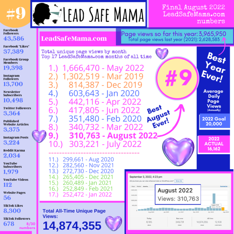 Final Numbers for August 2022: #BestAugustEver at LeadSafeMama.com [9th Best Month Of All Time!]