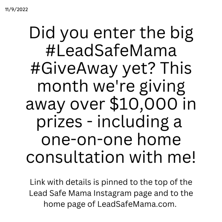 REMINDER: The Most Amazing Wonderful Incredible Awesome Lead Safe Mama SECOND ANNUAL Giveaway of Lead-Free Things And Other Fabulous Prizes.