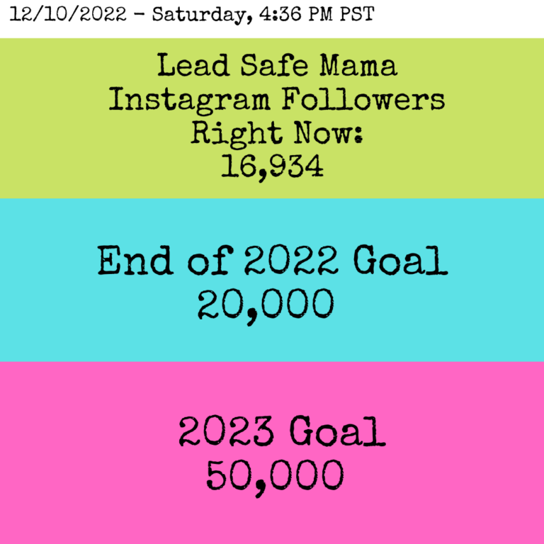 2022 Goals / 2023 Goals: Instagram Followers