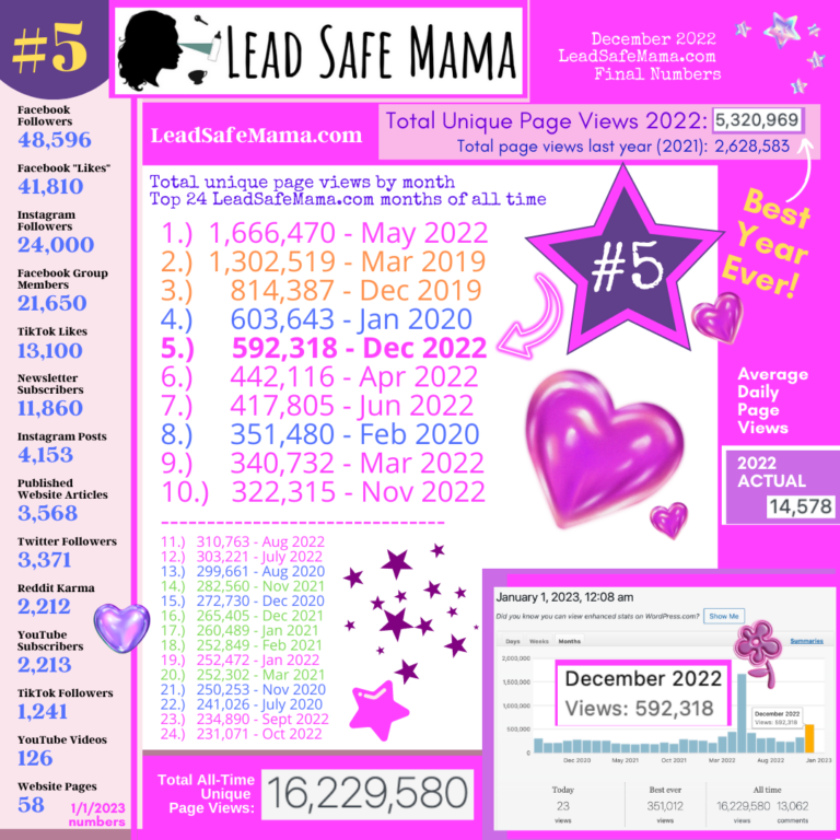 Final 2022 online engagement numbers for Lead Safe Mama’s website & social media.