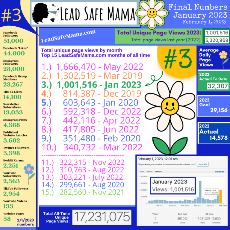 Final January 2023 Numbers and Highlights here at Lead Safe Mama dot com.