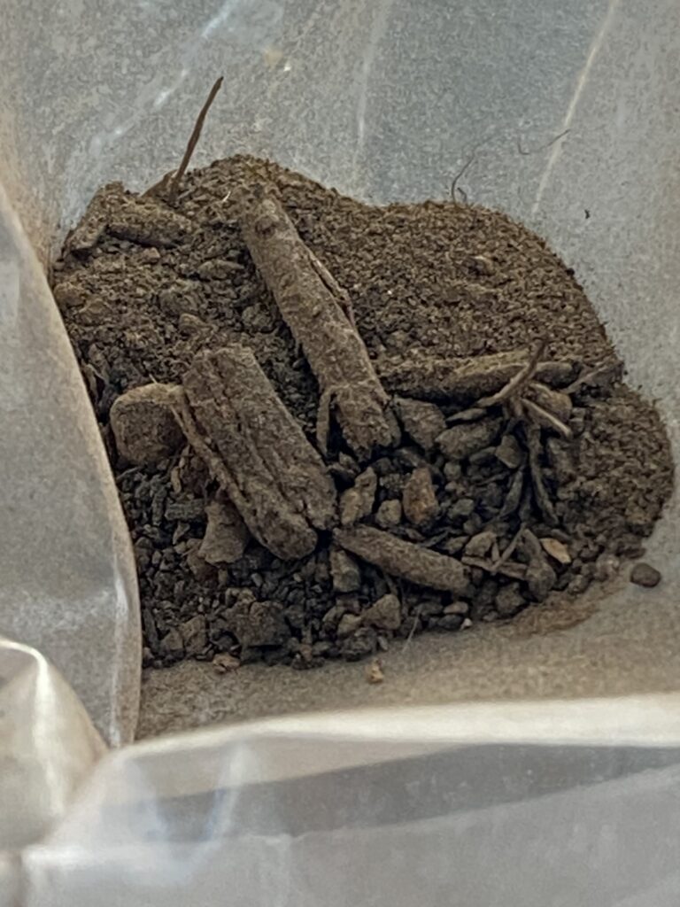 Soil sent in by a Lead Safe Mama reader from Omaha, Nebraska (XRF test results, May 2023)