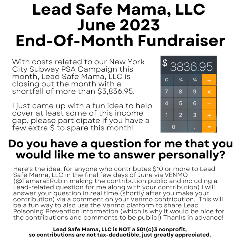 June 2023 Lead Safe Mama, LLC Financial Update + a New Little/fun Fundraising Idea!