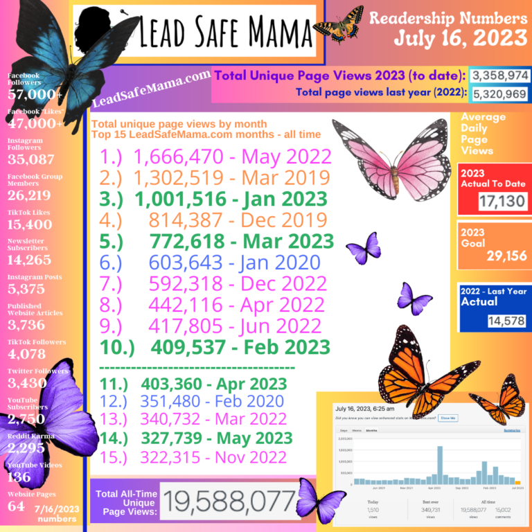 Lead Safe Mama, LLC 2023 Semi-Annual Report: Impact & Income (Including Social Media Stats)