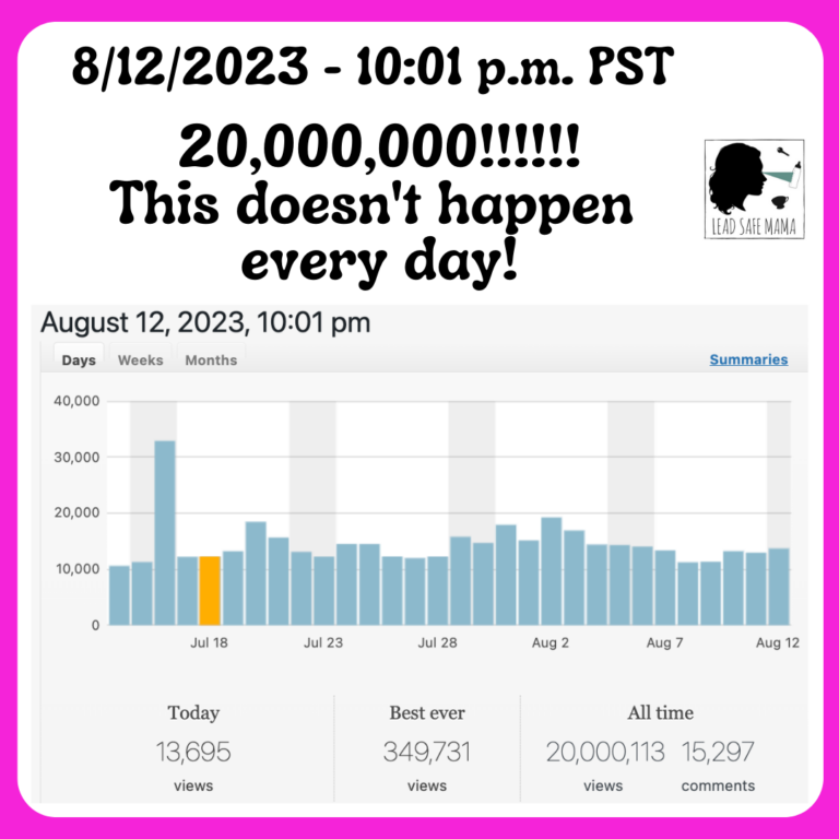 LeadSafeMama.com just passed 20,000,000 Unique All-Time Page Views! TWENTY MILLION!