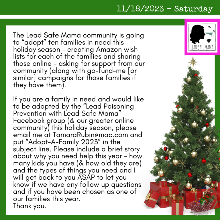 Holiday 2023 Lead Safe Mama Community Adopt-A-Family Program