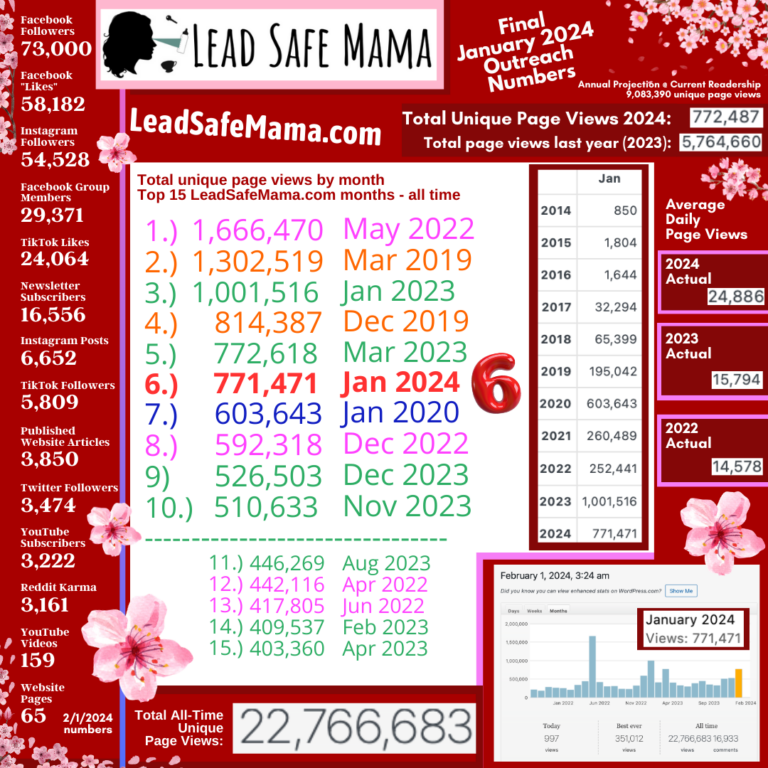 Final outreach stats for January 2024, plus some Lead Safe Mama, LLC 2024 goals