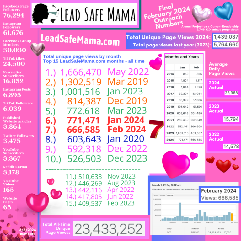 Final outreach stats for February 2024 (“Best February Ever!”), plus more Lead Safe Mama, LLC 2024 goals!