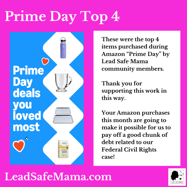 Top Lead Safe Mama Community Purchases from Amazon Prime Day — 2024