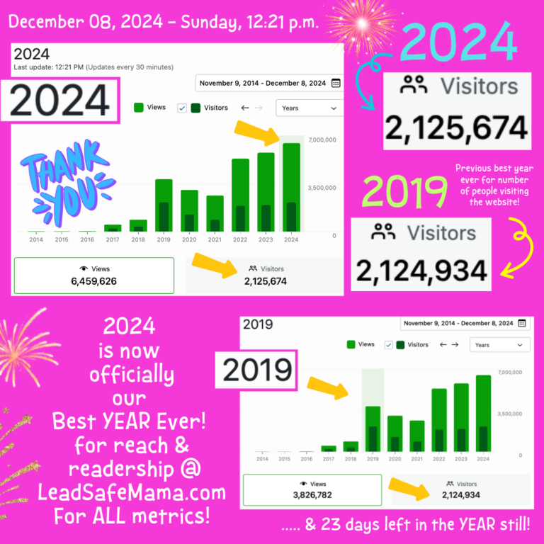 2024 is officially Lead Safe Mama, LLC’s BEST YEAR EVER in ALL the ways!