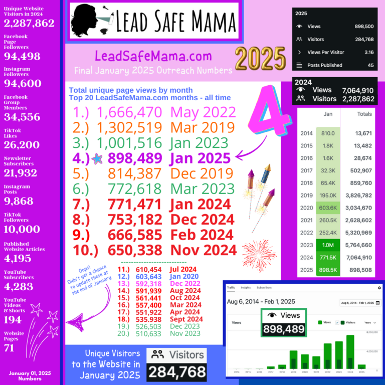 Final January 2025 Lead Safe Mama, LLC Outreach Numbers