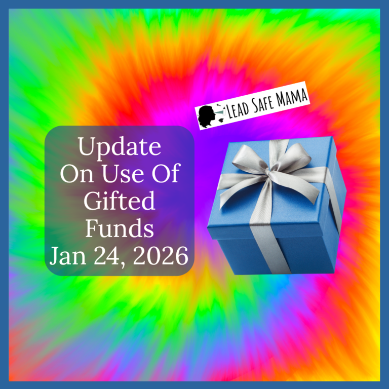 Allocation of Undesignated Funds Gifted to Lead Safe Mama, LLC Through January 24, 2026